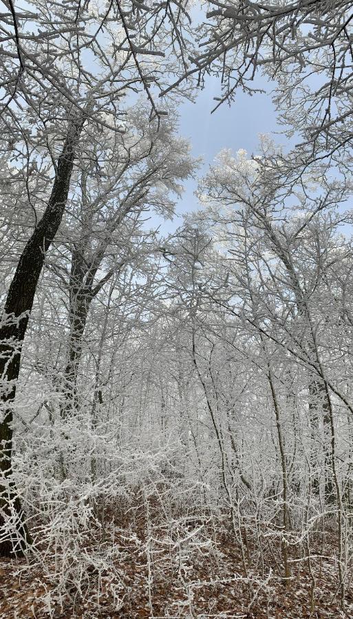 Kisvulkan Nyulontul Mencshely Exteriör bild