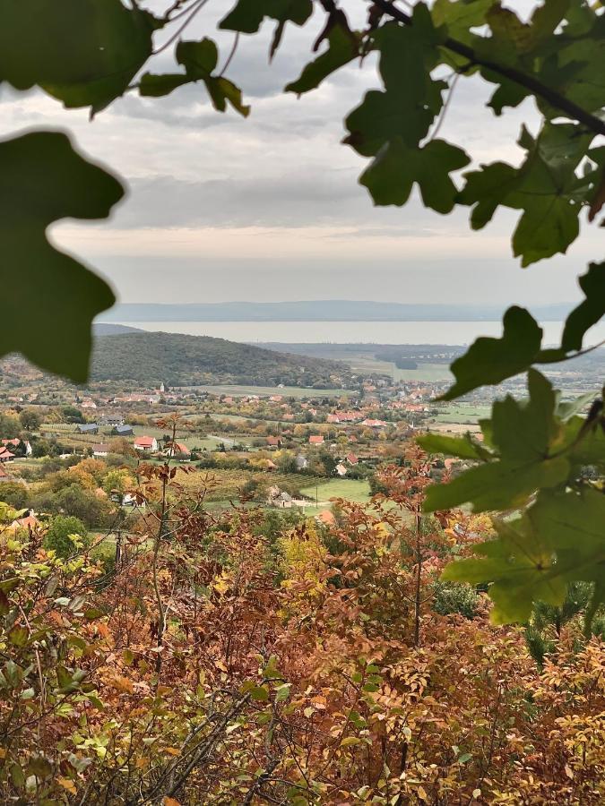 Kisvulkan Nyulontul Mencshely Exteriör bild